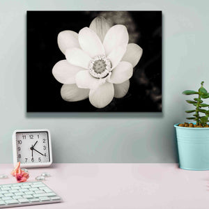 'Lotus Flower III' by Debra Van Swearingen, Canvas Wall Art,16 x 12