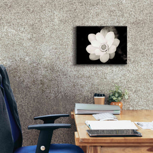 'Lotus Flower III' by Debra Van Swearingen, Canvas Wall Art,16 x 12