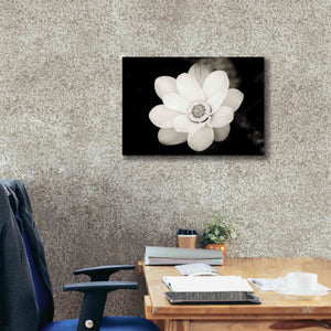 'Lotus Flower III' by Debra Van Swearingen, Canvas Wall Art,26 x 18
