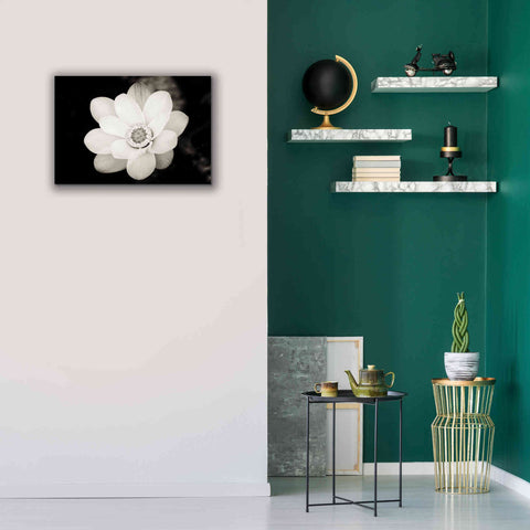 Image of 'Lotus Flower III' by Debra Van Swearingen, Canvas Wall Art,26 x 18
