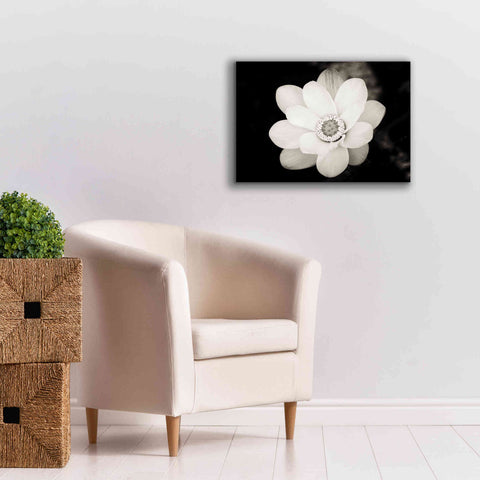 Image of 'Lotus Flower III' by Debra Van Swearingen, Canvas Wall Art,26 x 18