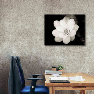 'Lotus Flower III' by Debra Van Swearingen, Canvas Wall Art,34 x 26