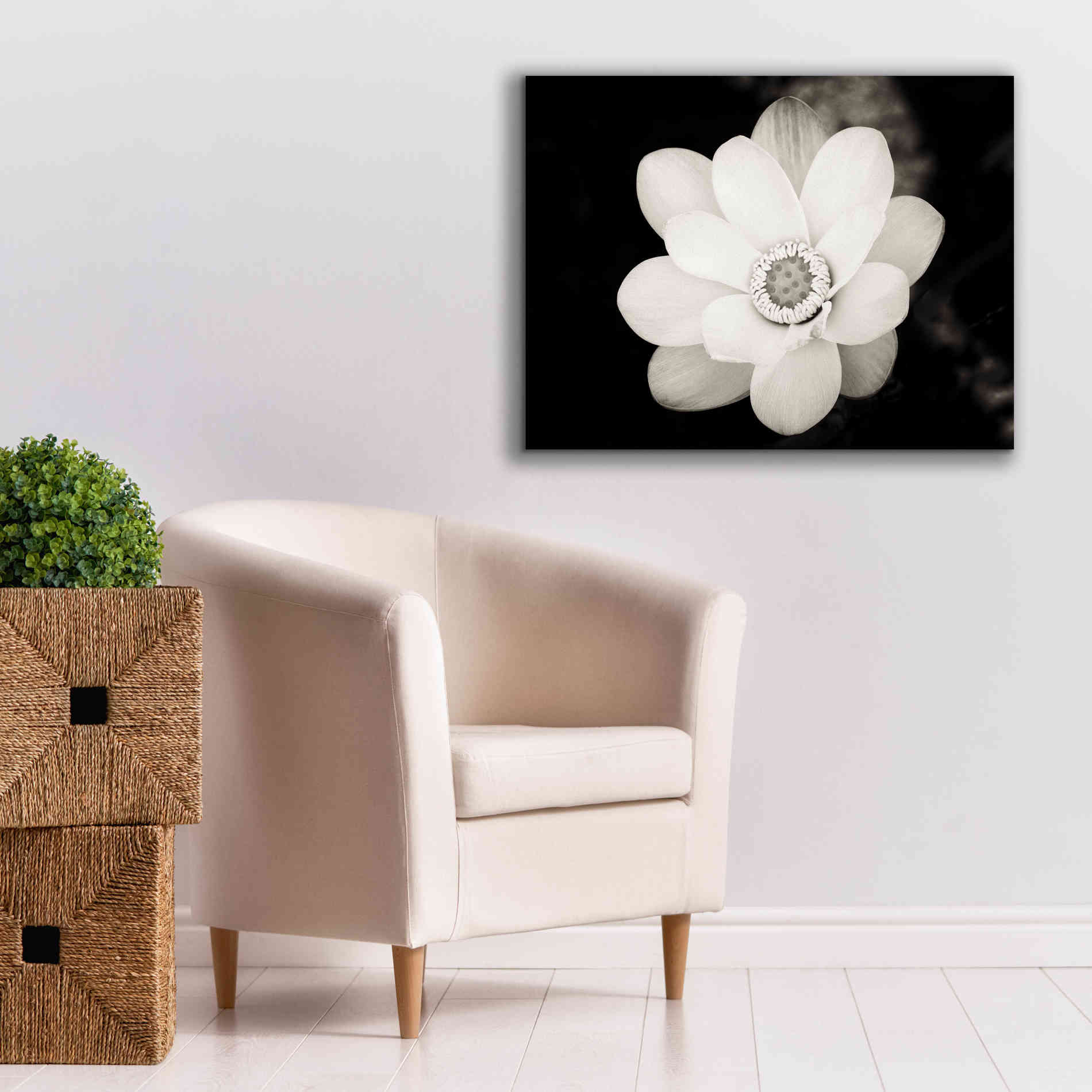 'Lotus Flower III' by Debra Van Swearingen, Canvas Wall Art,34 x 26
