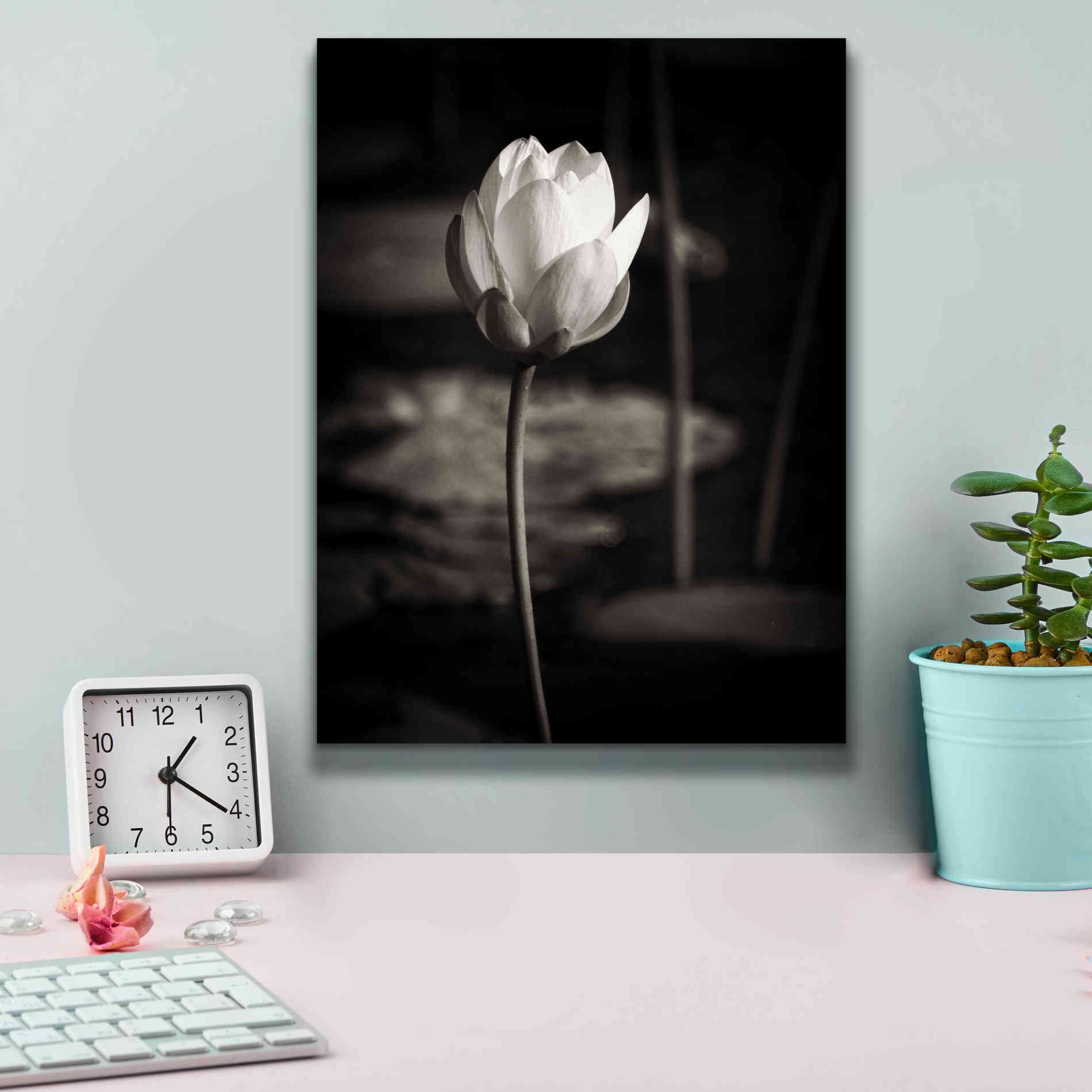 'Lotus Flower VI' by Debra Van Swearingen, Canvas Wall Art,12 x 16