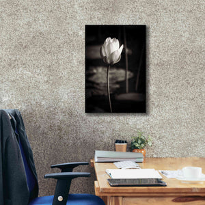 'Lotus Flower VI' by Debra Van Swearingen, Canvas Wall Art,18 x 26