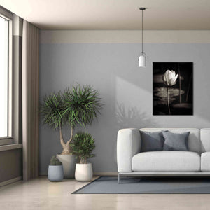 'Lotus Flower VI' by Debra Van Swearingen, Canvas Wall Art,26 x 34
