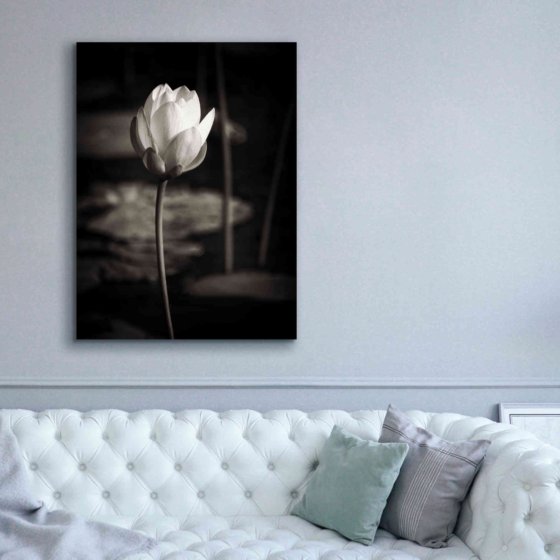 'Lotus Flower VI' by Debra Van Swearingen, Canvas Wall Art,40 x 54