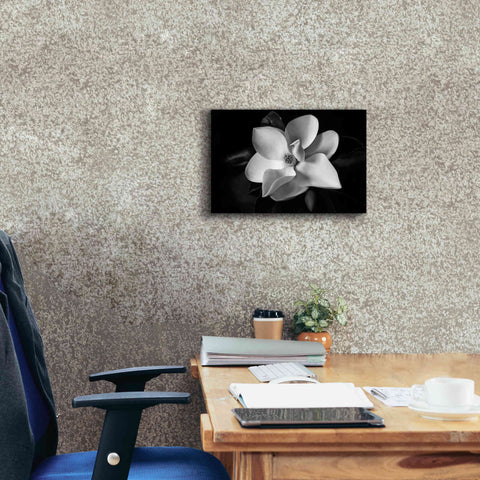Image of 'SID14511_Magnolia' by Debra Van Swearingen, Canvas Wall Art,18 x 12