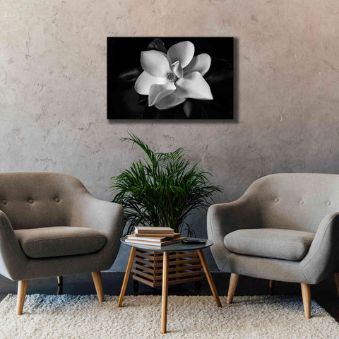 Image of 'SID14511_Magnolia' by Debra Van Swearingen, Canvas Wall Art,40 x 26