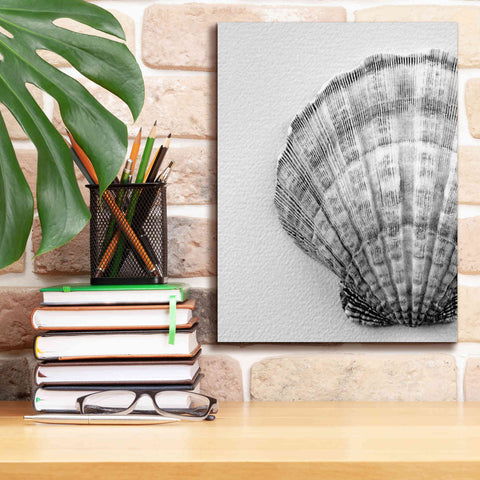 Image of 'On The Half Shell' by Debra Van Swearingen, Canvas Wall Art,12 x 16