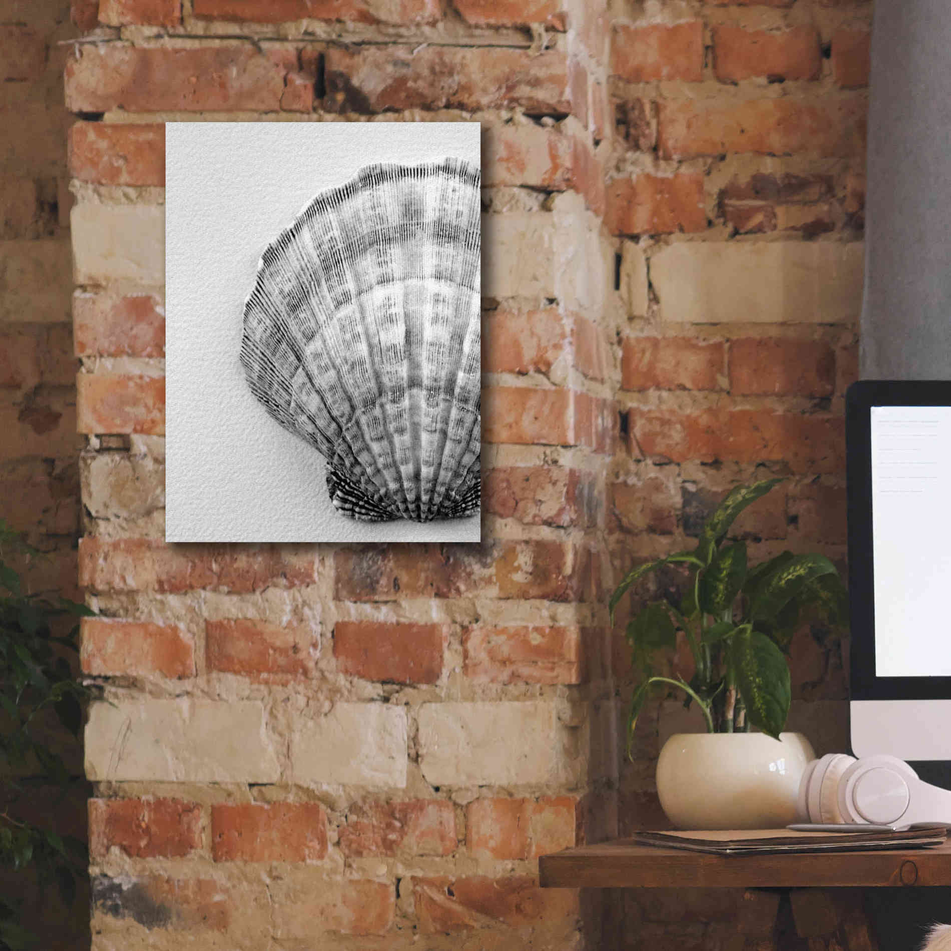 'On The Half Shell' by Debra Van Swearingen, Canvas Wall Art,12 x 16