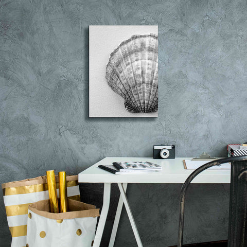 Image of 'On The Half Shell' by Debra Van Swearingen, Canvas Wall Art,12 x 16