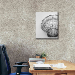 'On The Half Shell' by Debra Van Swearingen, Canvas Wall Art,20 x 24