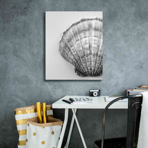 Image of 'On The Half Shell' by Debra Van Swearingen, Canvas Wall Art,20 x 24