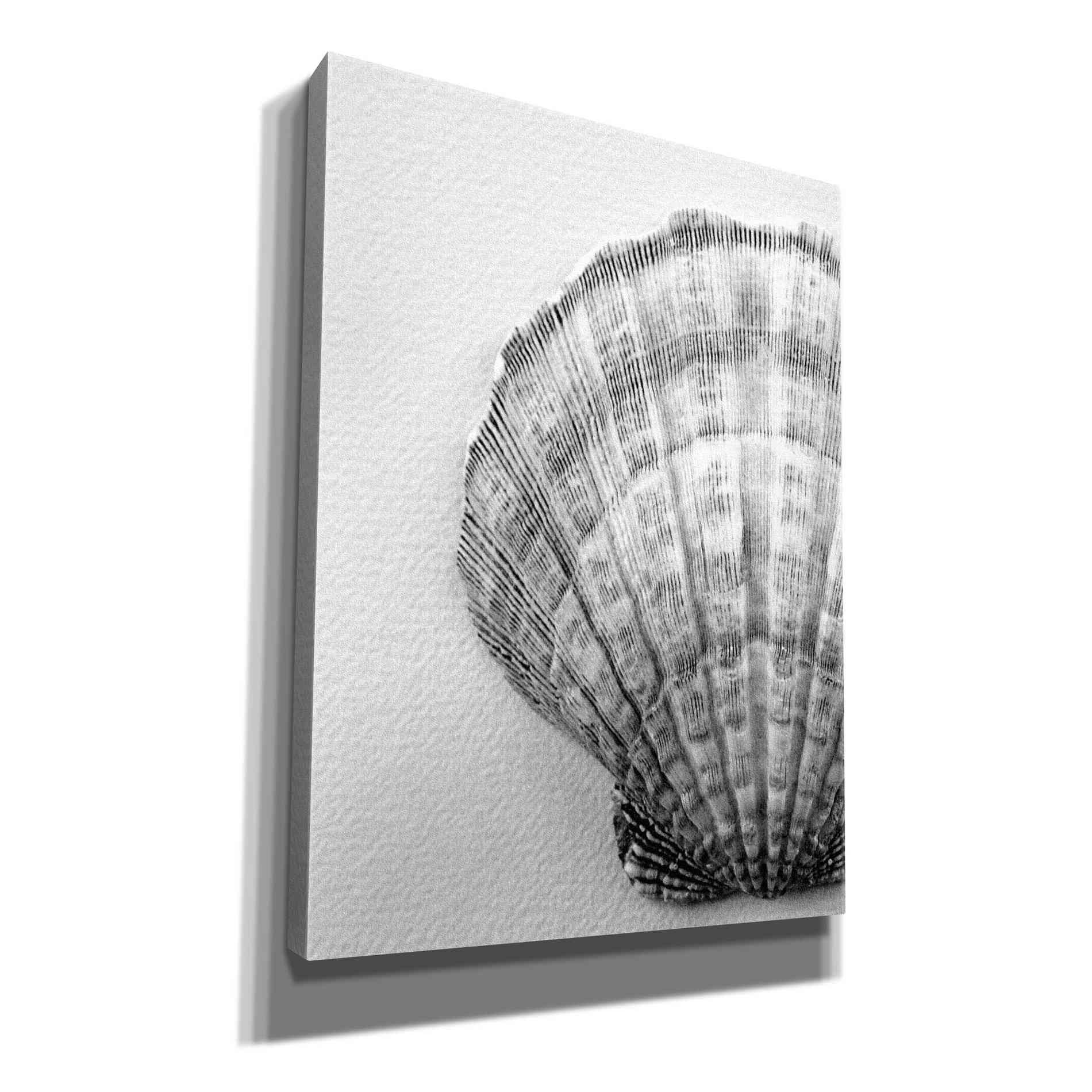 'On The Half Shell' by Debra Van Swearingen, Canvas Wall Art,12x16x1.1x0,20x24x1.1x0,26x30x1.74x0,40x54x1.74x0