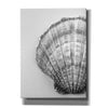 'On The Half Shell' by Debra Van Swearingen, Canvas Wall Art,12x16x1.1x0,20x24x1.1x0,26x30x1.74x0,40x54x1.74x0