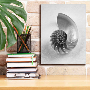 'Nautilus 4' by Debra Van Swearingen, Canvas Wall Art,12 x 16