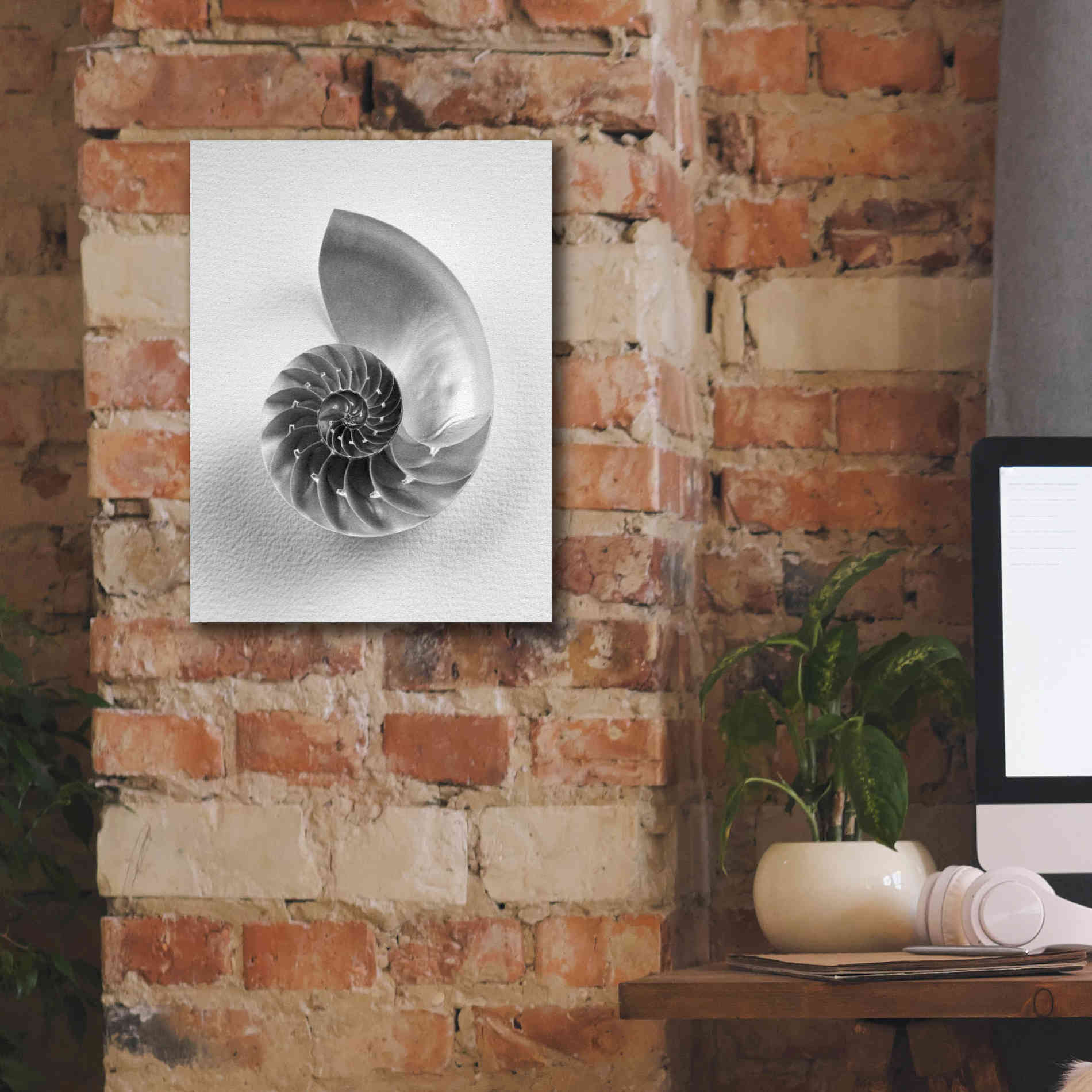 'Nautilus 4' by Debra Van Swearingen, Canvas Wall Art,12 x 16