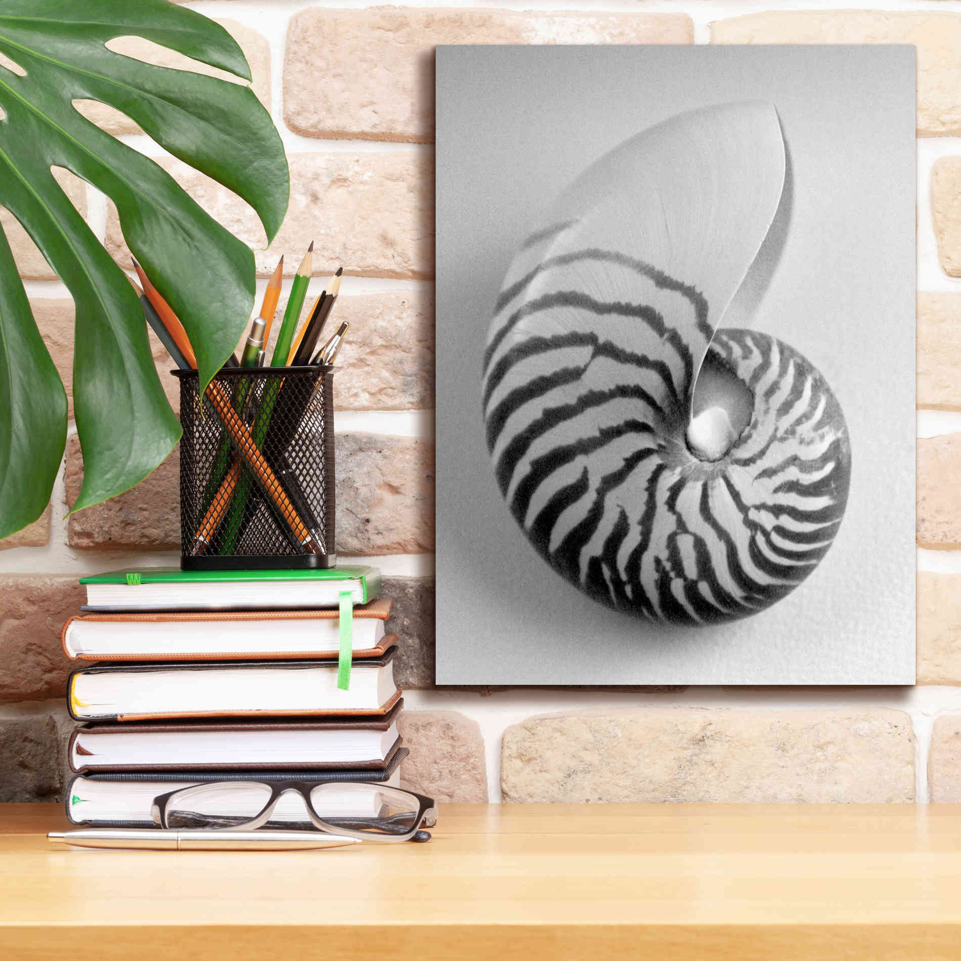 'Nautilus 2' by Debra Van Swearingen, Canvas Wall Art,12 x 16