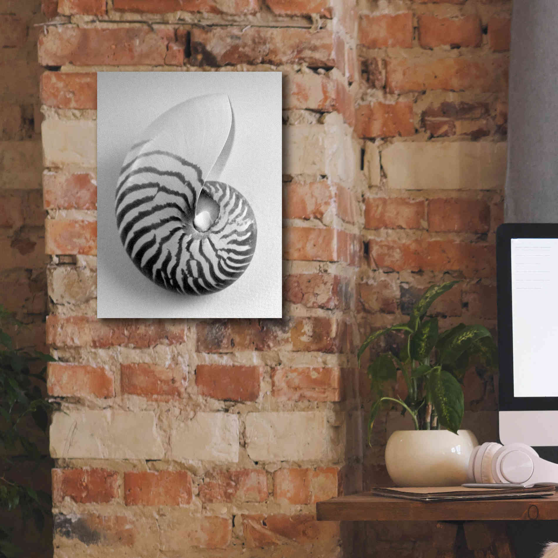 'Nautilus 2' by Debra Van Swearingen, Canvas Wall Art,12 x 16