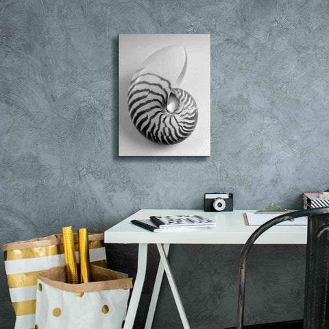 Image of 'Nautilus 2' by Debra Van Swearingen, Canvas Wall Art,12 x 16
