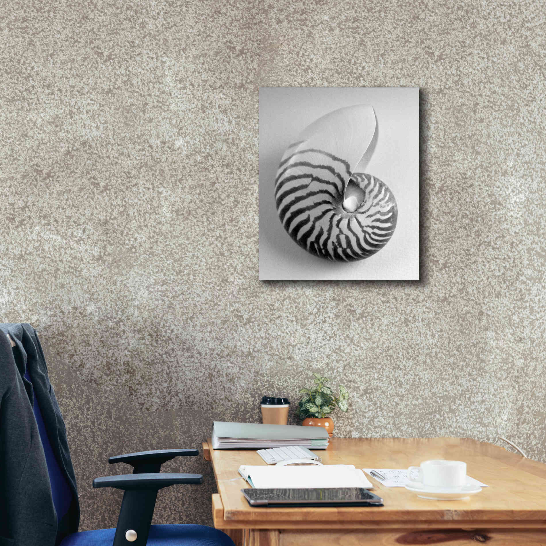 'Nautilus 2' by Debra Van Swearingen, Canvas Wall Art,20 x 24