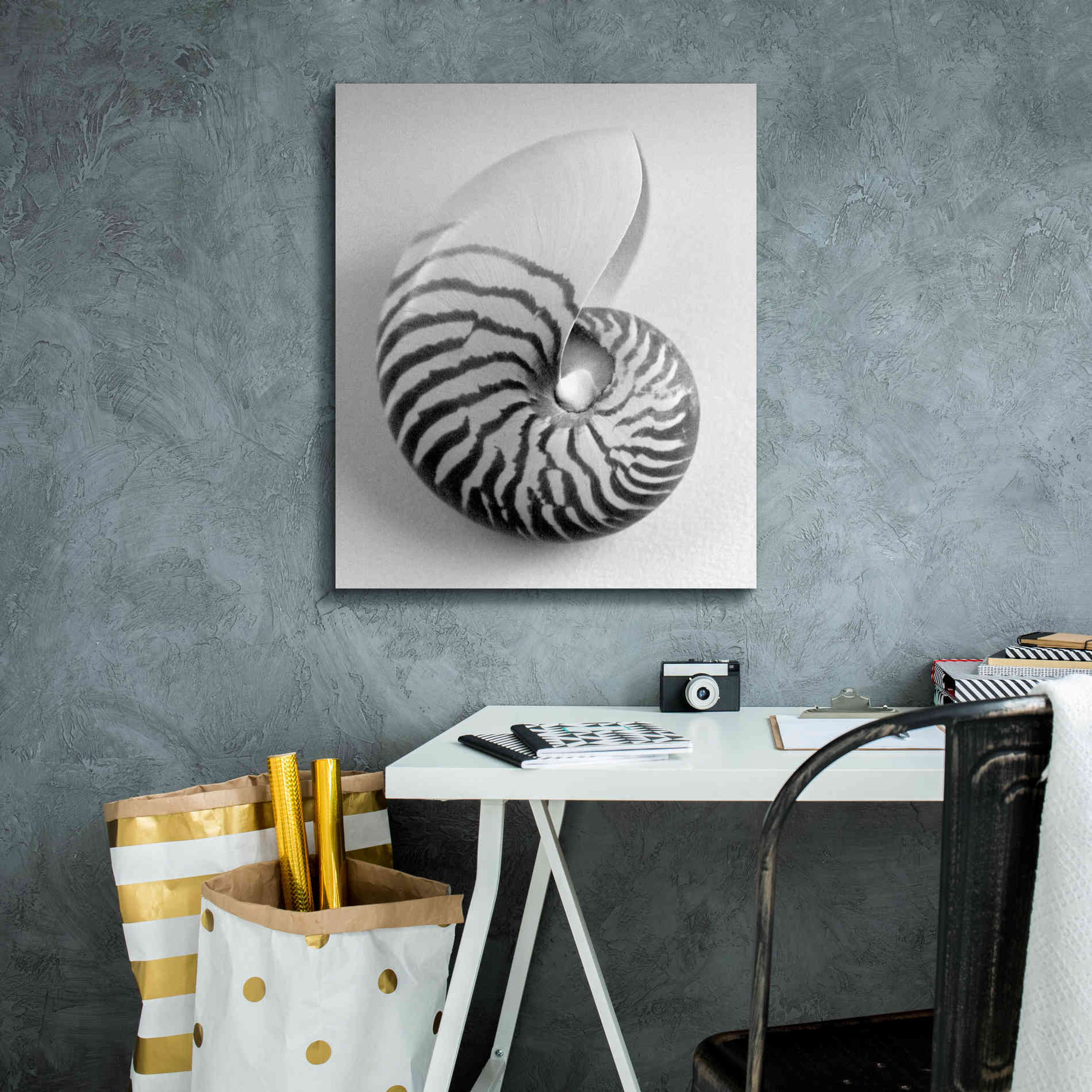 'Nautilus 2' by Debra Van Swearingen, Canvas Wall Art,20 x 24