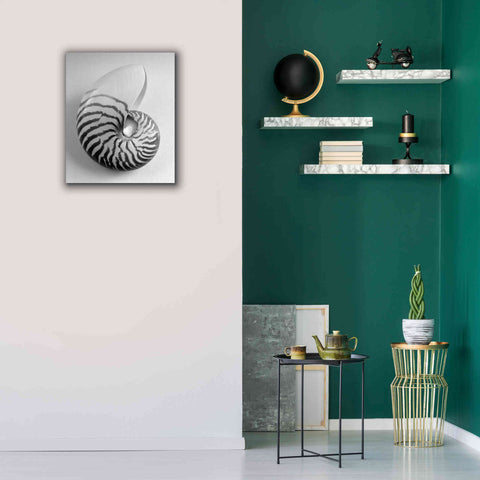 Image of 'Nautilus 2' by Debra Van Swearingen, Canvas Wall Art,20 x 24