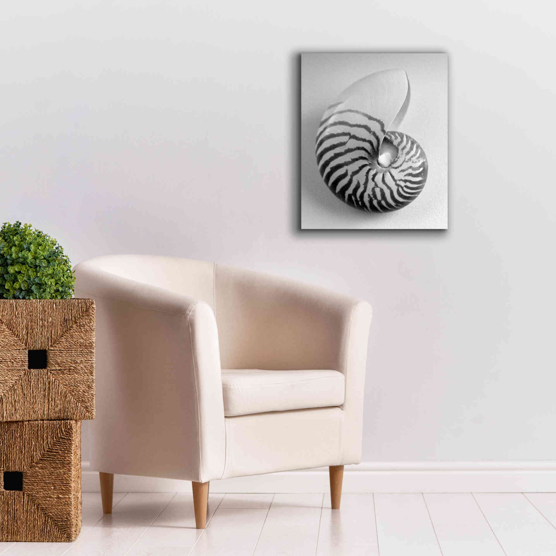 'Nautilus 2' by Debra Van Swearingen, Canvas Wall Art,20 x 24