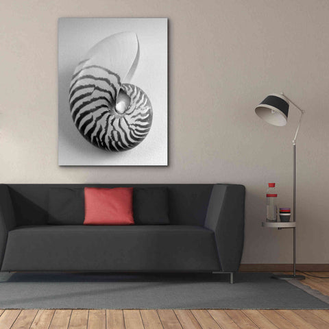Image of 'Nautilus 2' by Debra Van Swearingen, Canvas Wall Art,40 x 54