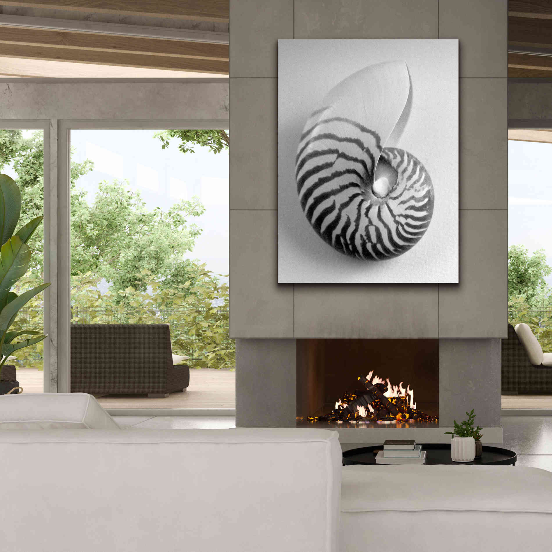 'Nautilus 2' by Debra Van Swearingen, Canvas Wall Art,40 x 54