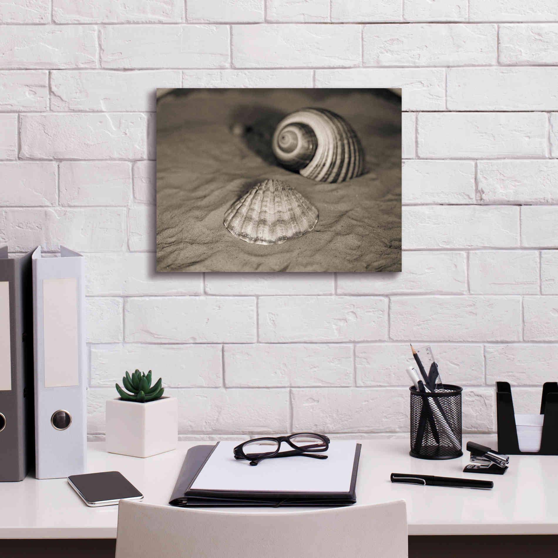 'Scallop Tonna' by Debra Van Swearingen, Canvas Wall Art,16 x 12