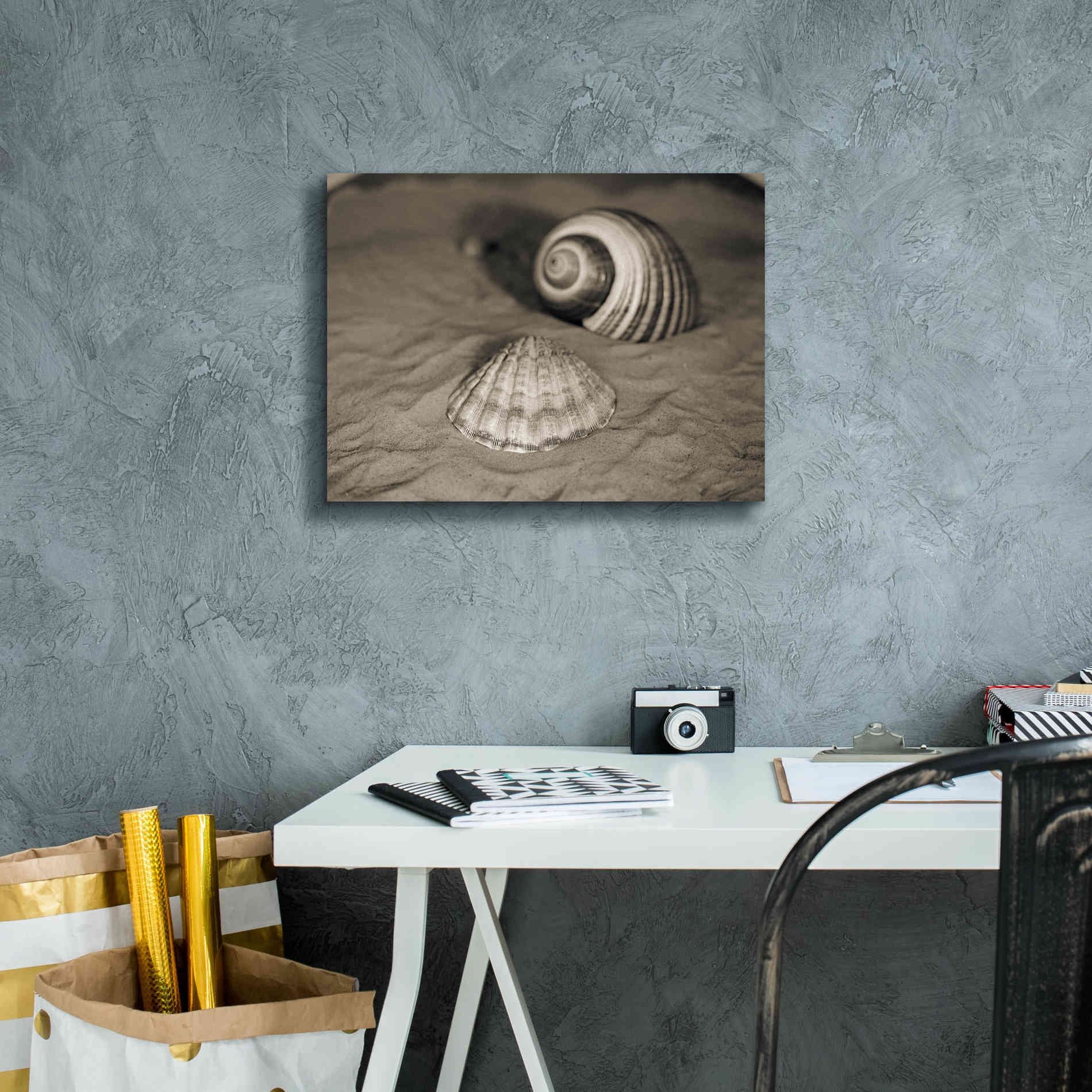'Scallop Tonna' by Debra Van Swearingen, Canvas Wall Art,16 x 12