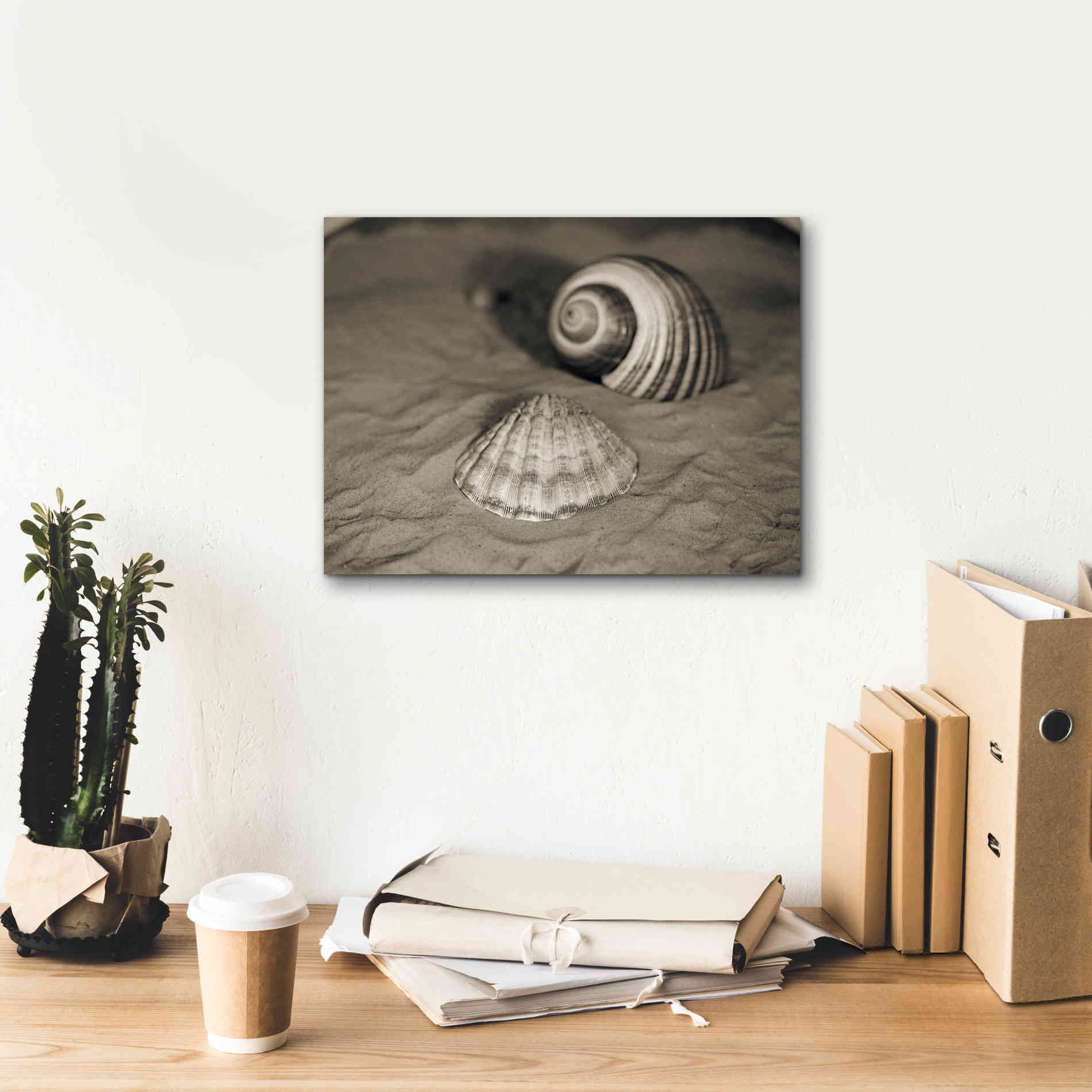 'Scallop Tonna' by Debra Van Swearingen, Canvas Wall Art,16 x 12