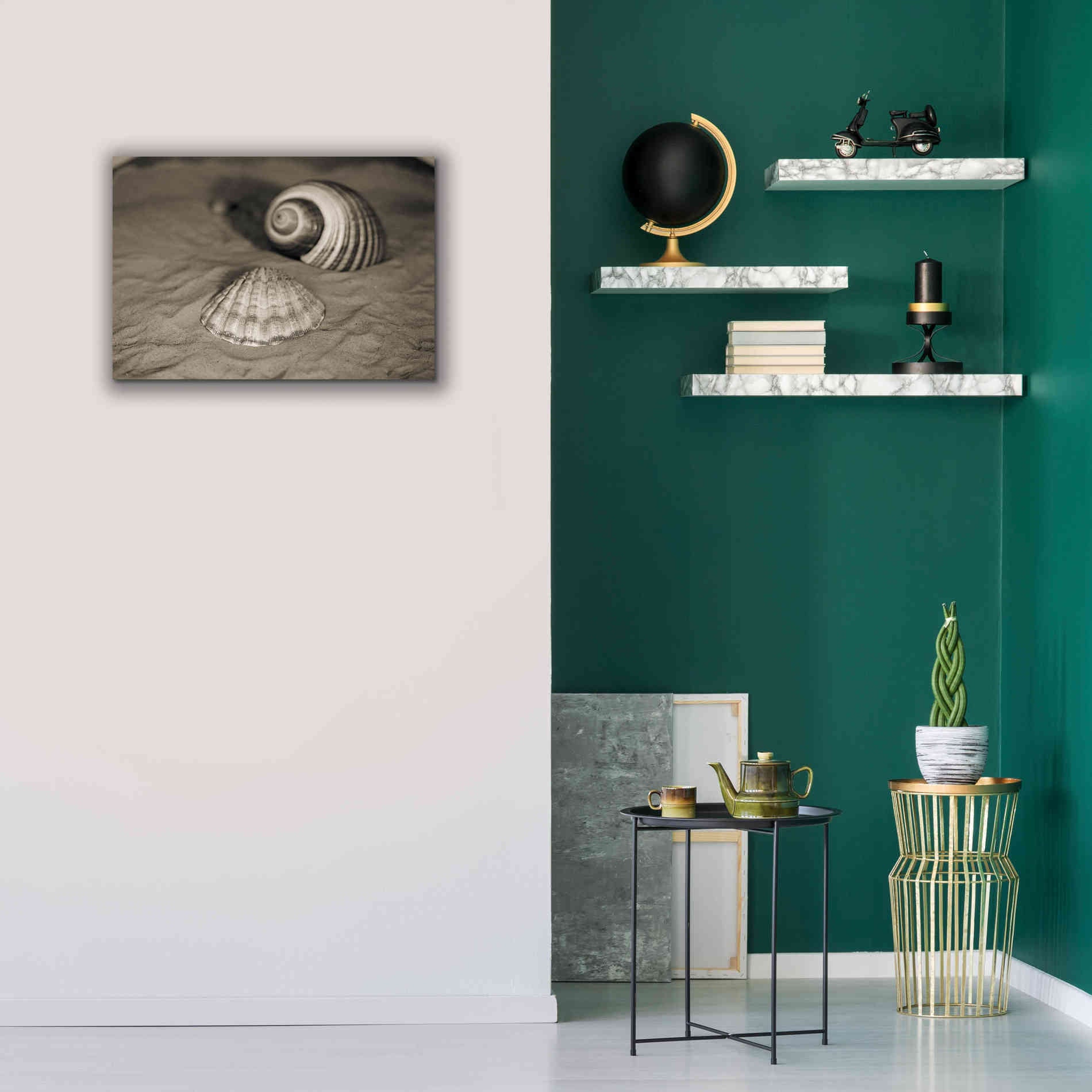 'Scallop Tonna' by Debra Van Swearingen, Canvas Wall Art,26 x 18