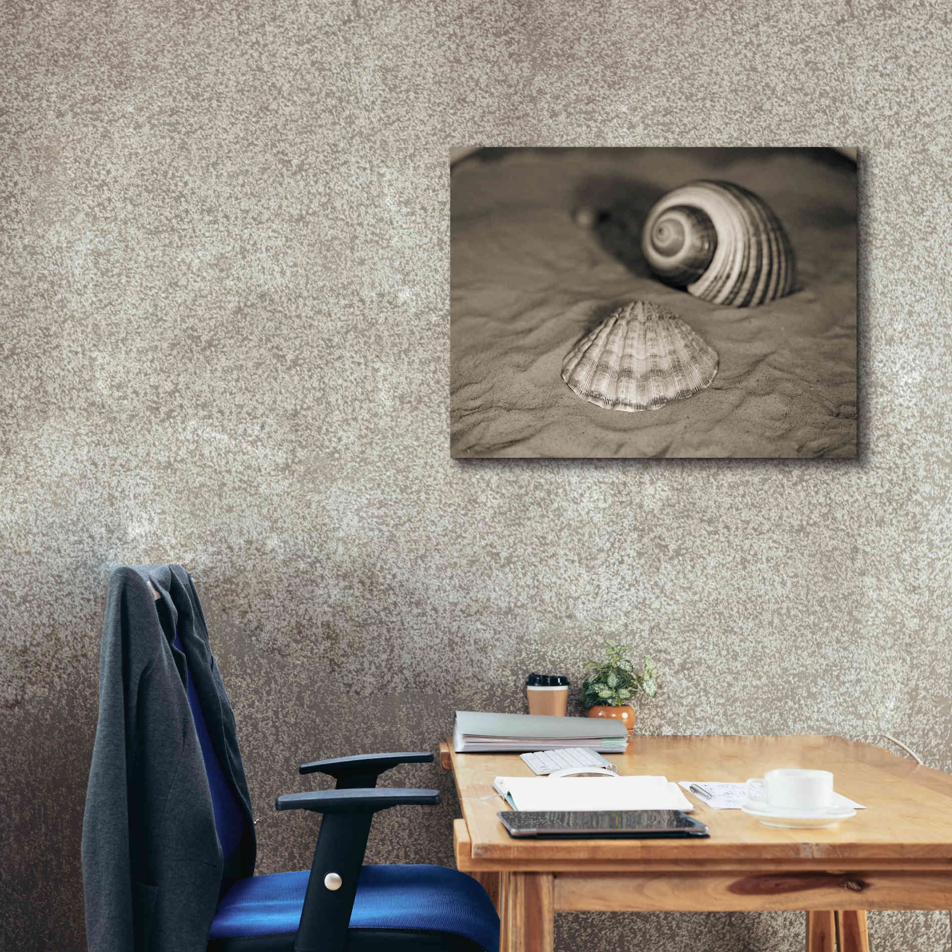 'Scallop Tonna' by Debra Van Swearingen, Canvas Wall Art,34 x 26