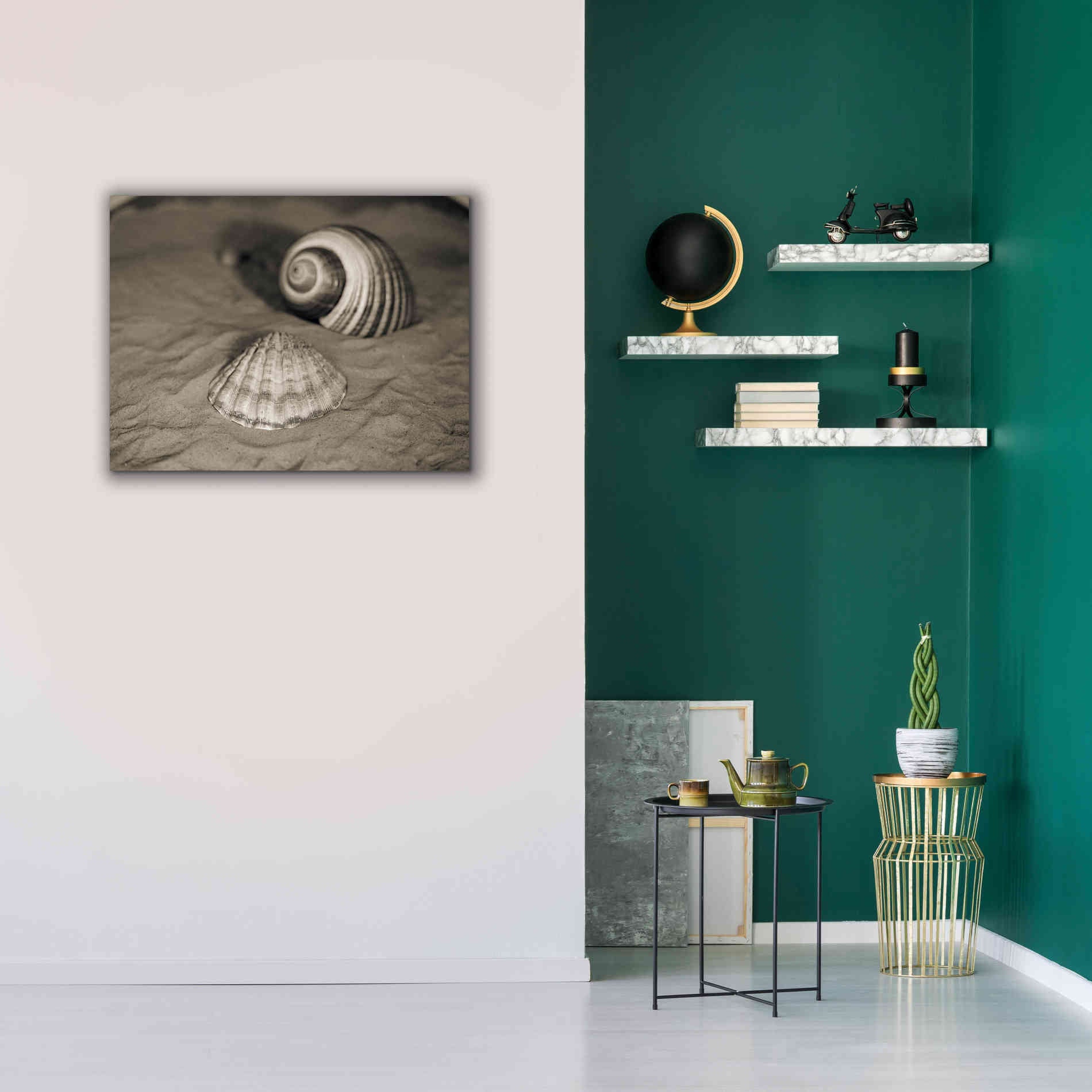 'Scallop Tonna' by Debra Van Swearingen, Canvas Wall Art,34 x 26