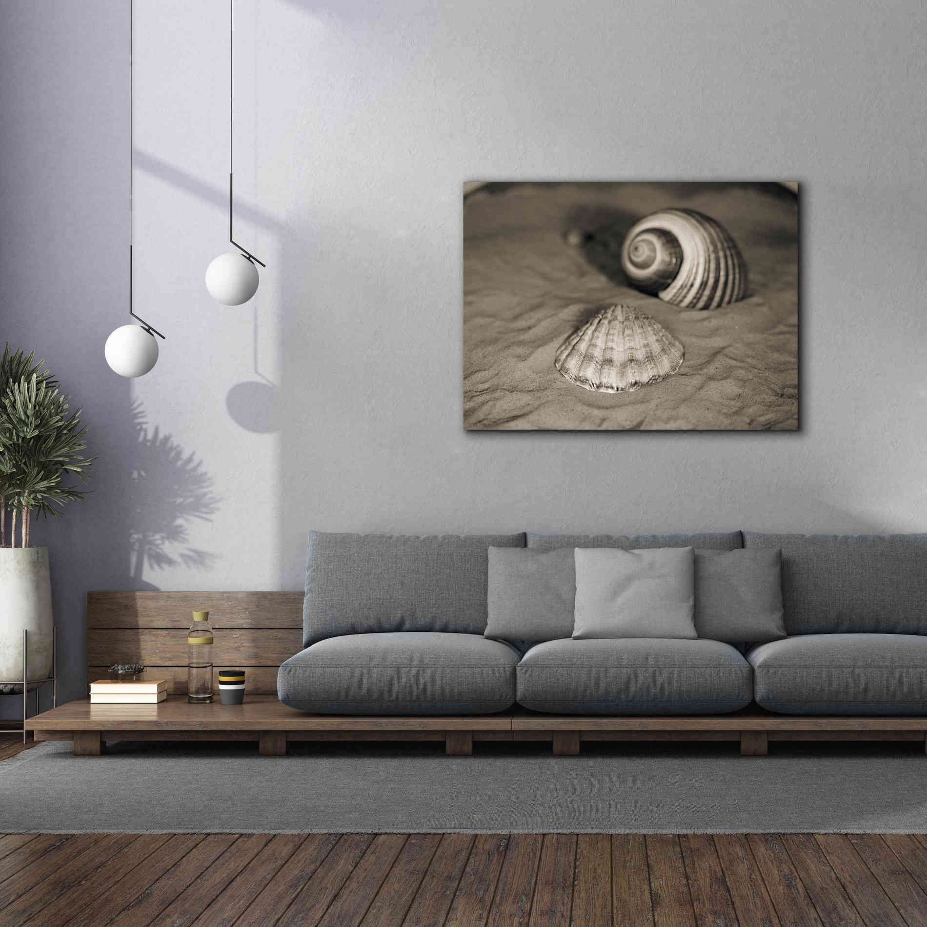 'Scallop Tonna' by Debra Van Swearingen, Canvas Wall Art,54 x 40