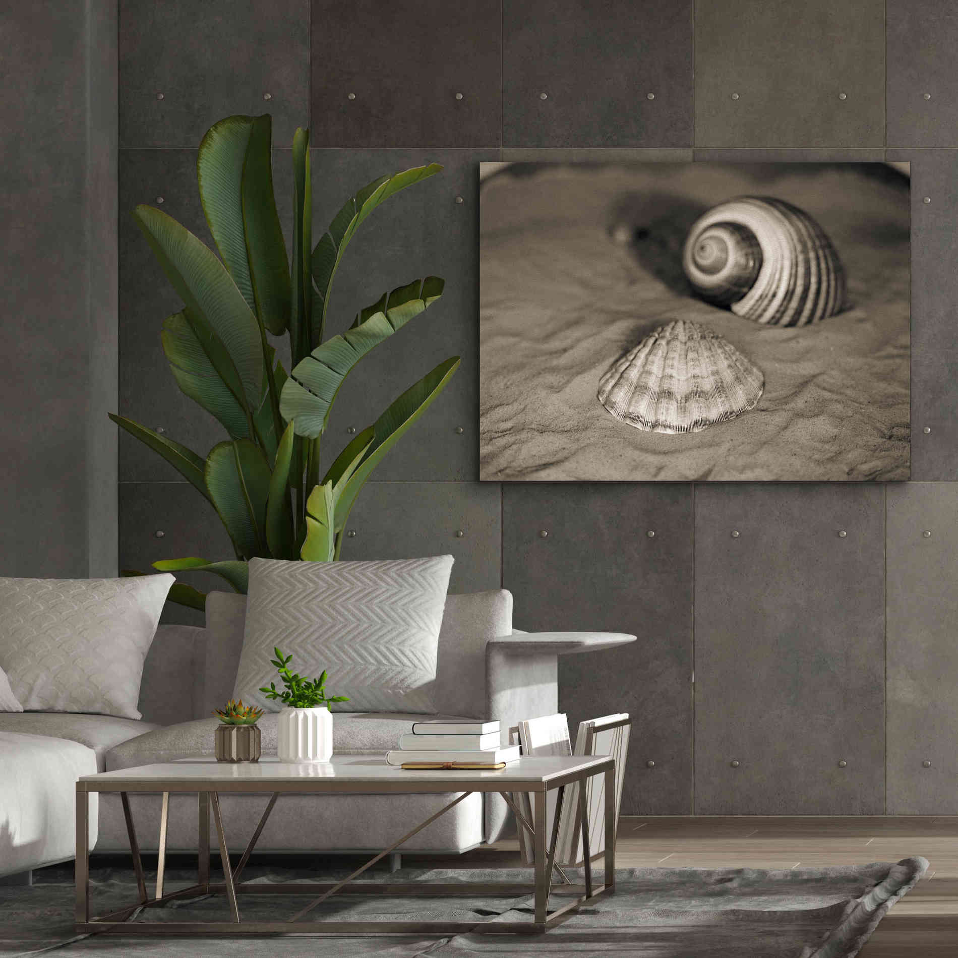 'Scallop Tonna' by Debra Van Swearingen, Canvas Wall Art,54 x 40