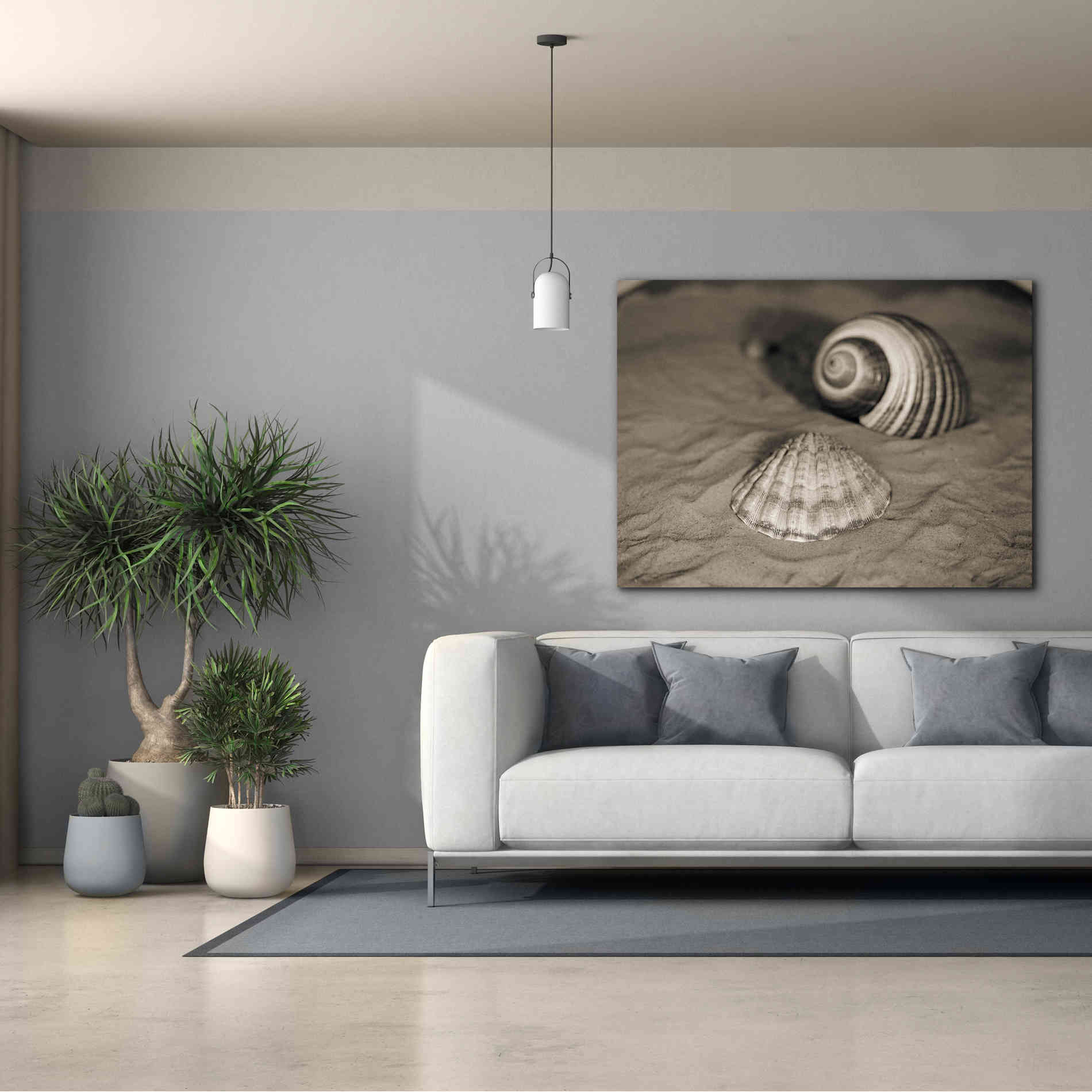'Scallop Tonna' by Debra Van Swearingen, Canvas Wall Art,54 x 40