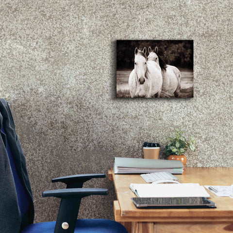 Image of 'Two Wild Horses Sepia' by Debra Van Swearingen, Canvas Wall Art,16 x 12