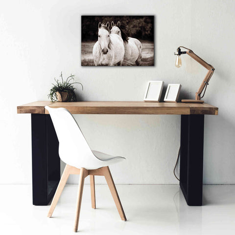 Image of 'Two Wild Horses Sepia' by Debra Van Swearingen, Canvas Wall Art,26 x 18