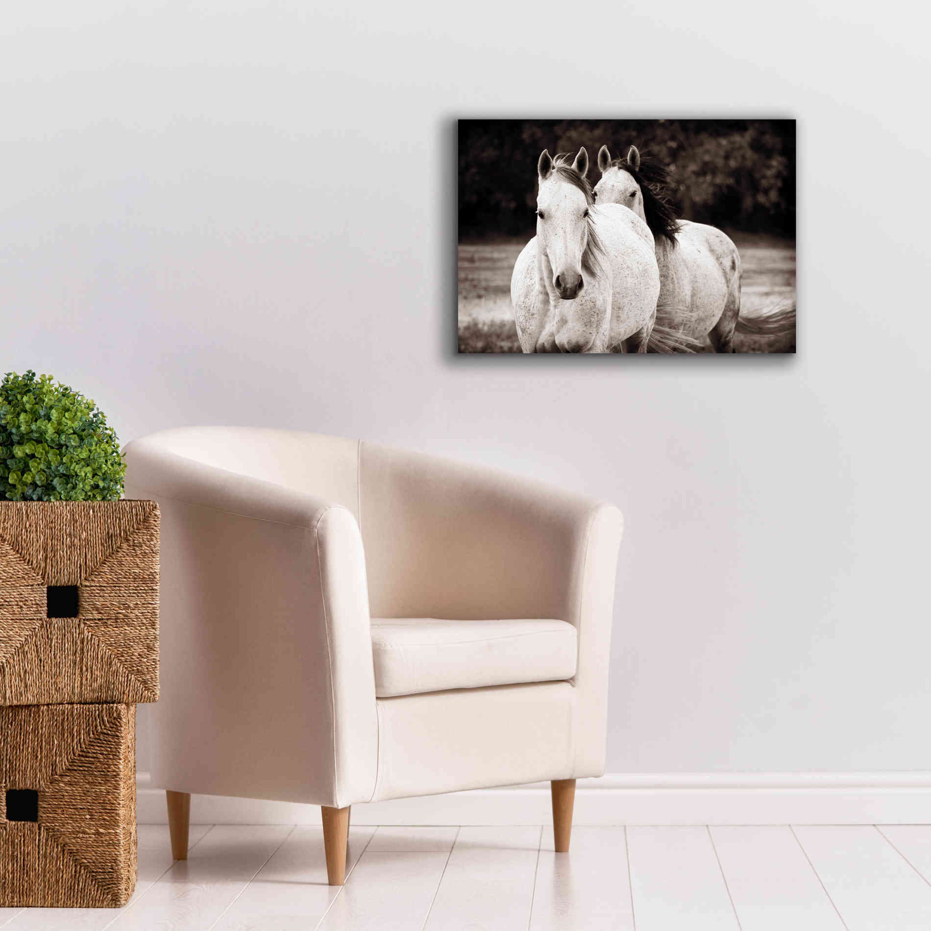 'Two Wild Horses Sepia' by Debra Van Swearingen, Canvas Wall Art,26 x 18