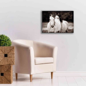 'Two Wild Horses Sepia' by Debra Van Swearingen, Canvas Wall Art,26 x 18