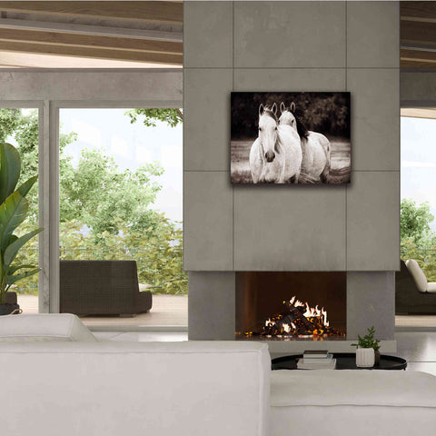 Image of 'Two Wild Horses Sepia' by Debra Van Swearingen, Canvas Wall Art,34 x 26