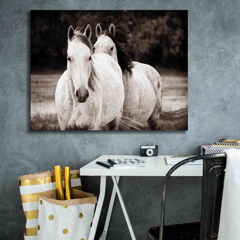 Image of 'Two Wild Horses Sepia' by Debra Van Swearingen, Canvas Wall Art,34 x 26