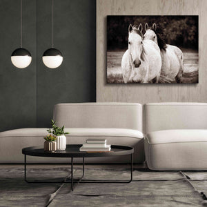 'Two Wild Horses Sepia' by Debra Van Swearingen, Canvas Wall Art,54 x 40