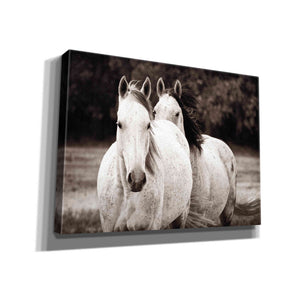 'Two Wild Horses Sepia' by Debra Van Swearingen, Canvas Wall Art,16x12x1.1x0,26x18x1.1x0,34x26x1.74x0,54x40x1.74x0