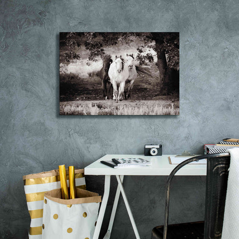 Image of 'Three Wild Horses Sepia' by Debra Van Swearingen, Canvas Wall Art,26 x 18