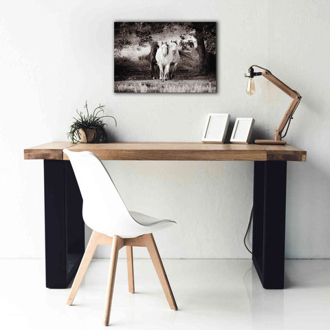 Image of 'Three Wild Horses Sepia' by Debra Van Swearingen, Canvas Wall Art,26 x 18